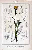  no thumbnail available