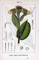  no thumbnail available