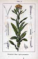  no thumbnail available