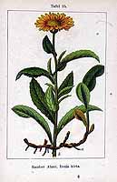  no thumbnail available