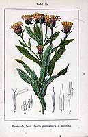  no thumbnail available