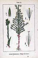  no thumbnail available