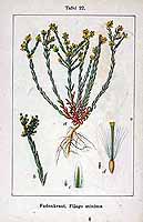  no thumbnail available