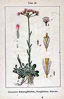  no thumbnail available