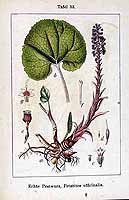  no thumbnail available