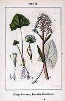  no thumbnail available