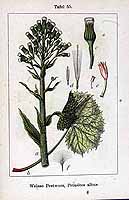  no thumbnail available