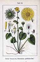  no thumbnail available