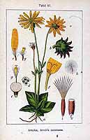  no thumbnail available