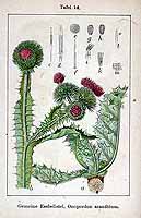  no thumbnail available