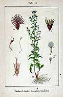  no thumbnail available