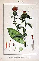  no thumbnail available