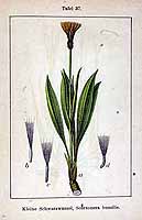  no thumbnail available