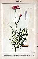  no thumbnail available