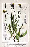  no thumbnail available