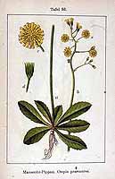  no thumbnail available