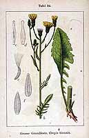  no thumbnail available