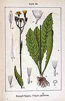  no thumbnail available