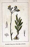  no thumbnail available