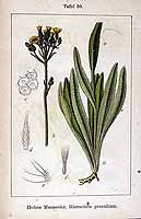  no thumbnail available