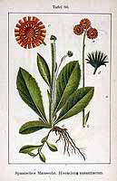  no thumbnail available