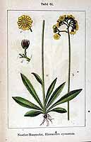  no thumbnail available