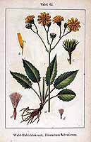  no thumbnail available