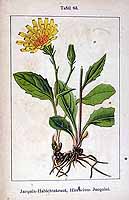  no thumbnail available