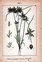  no thumbnail available