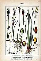  no thumbnail available