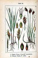  no thumbnail available