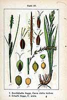  no thumbnail available