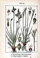  no thumbnail available