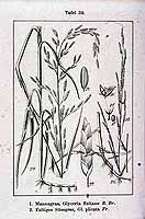  no thumbnail available