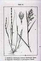  no thumbnail available