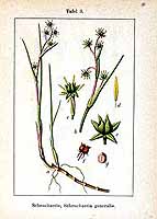  no thumbnail available