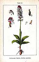  no thumbnail available