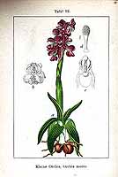  no thumbnail available