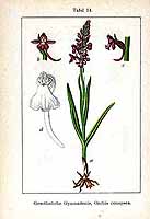  no thumbnail available