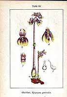  no thumbnail available