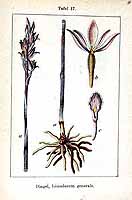  no thumbnail available