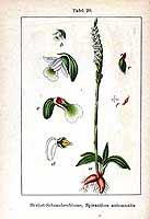  no thumbnail available