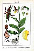  no thumbnail available