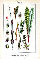  no thumbnail available