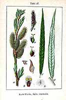  no thumbnail available