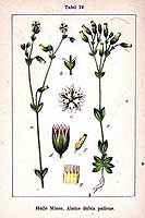  no thumbnail available