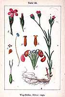  no thumbnail available