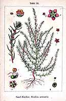  no thumbnail available