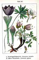  no thumbnail available