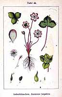  no thumbnail available